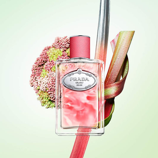 Infusion de Rhubarbe|100ML