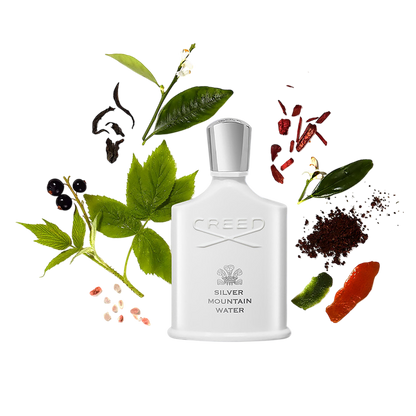 Silver Mountain Water|100ML