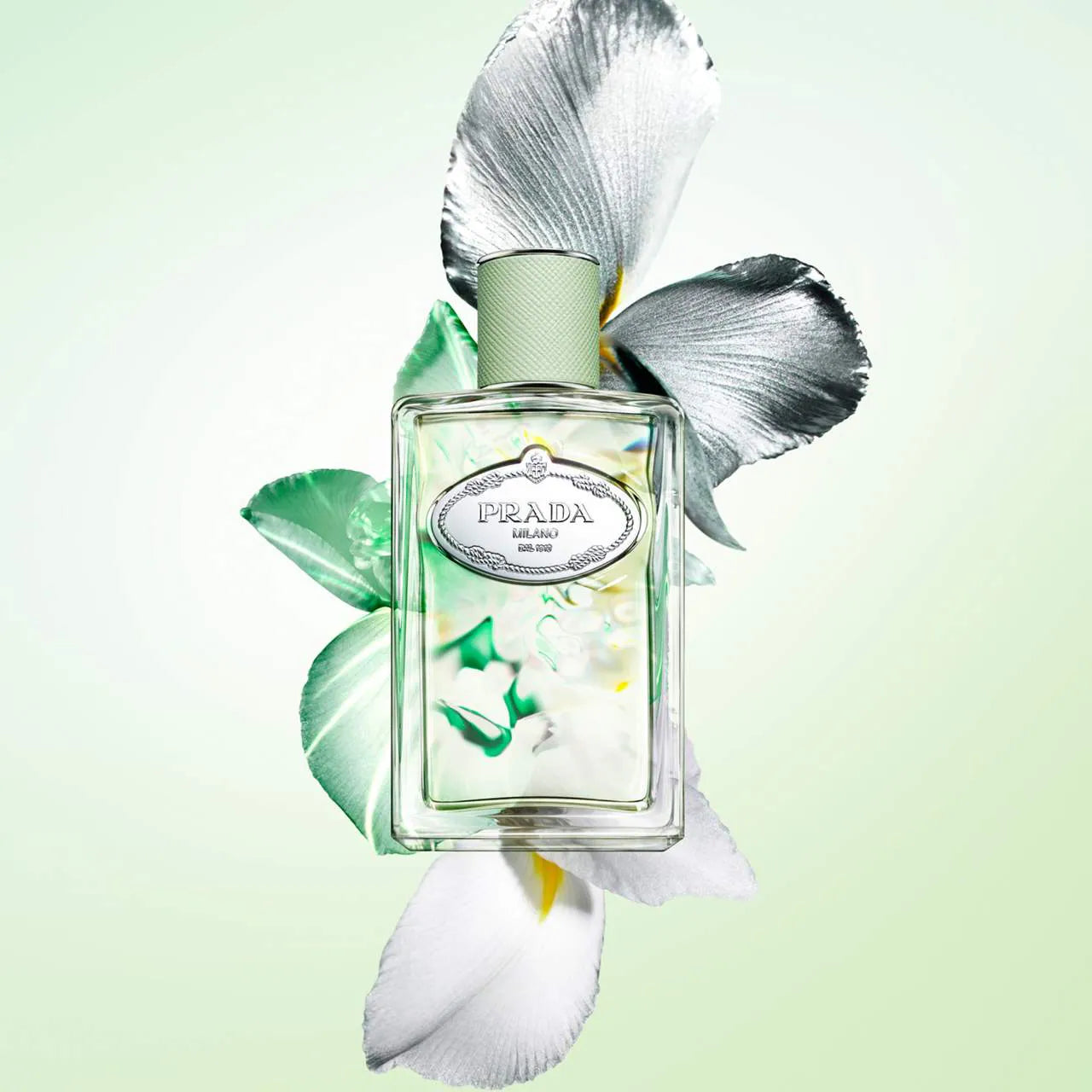 Infusion d'Iris|100ML